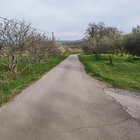 Na Zeleni Cesti / On The Road * Dekani
