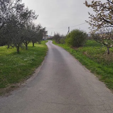 Apartment Na Zeleni Cesti / On The Road *