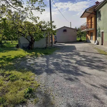 Na Zeleni Cesti / On The Road