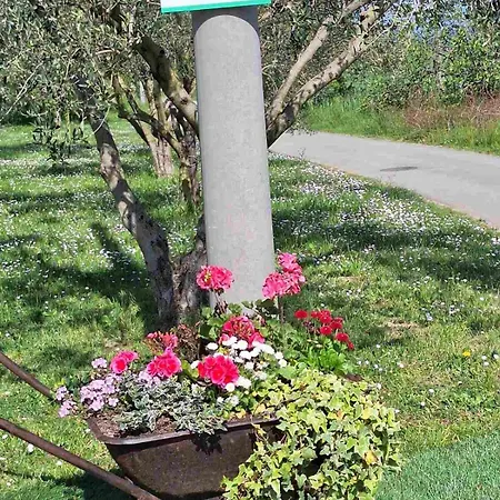 Na Zeleni Cesti / On The Road Dekani