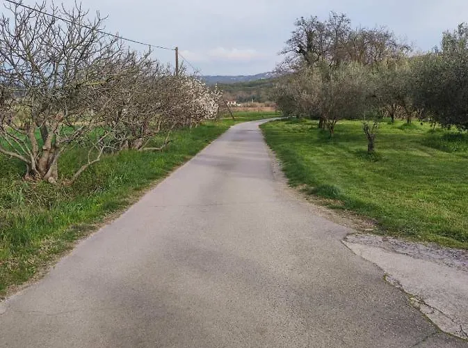 Na Zeleni Cesti / On The Road * Dekani