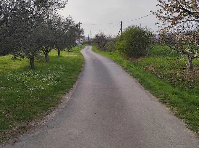 شقة Na Zeleni Cesti / On The Road *