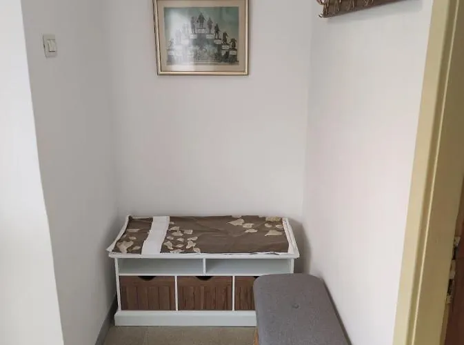 Na Zeleni Cesti / On The Road * Dekani