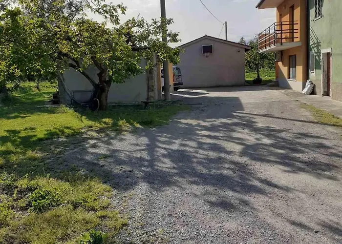 Na Zeleni Cesti / On The Road